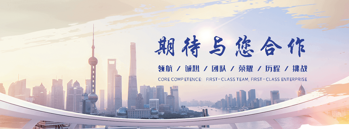 狐域咨询(林甸分公司)